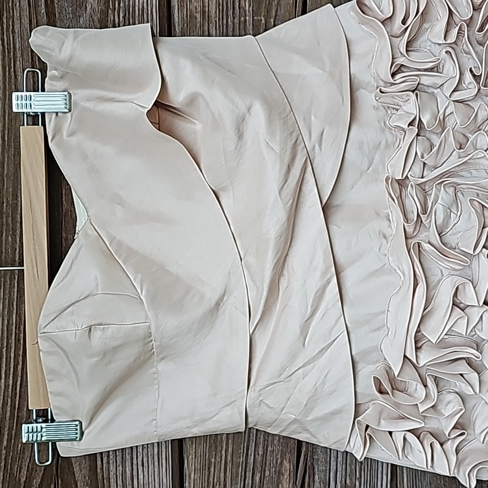 Laundry by Shelli Segal, Size 2, Cream - Picture 5 of 5